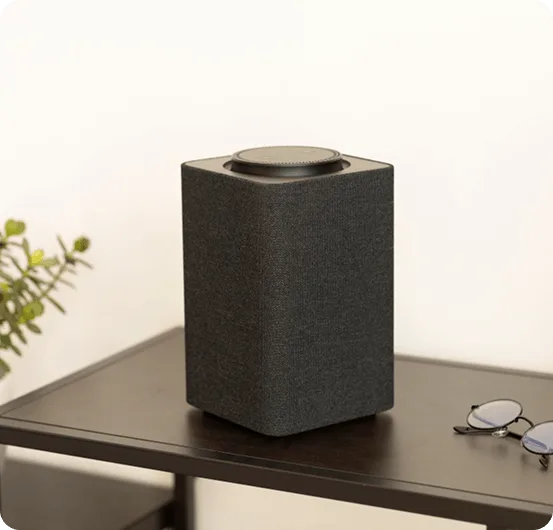 Speaker